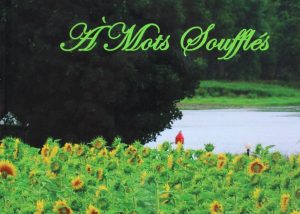 Achat en ligne livre Denis Roy