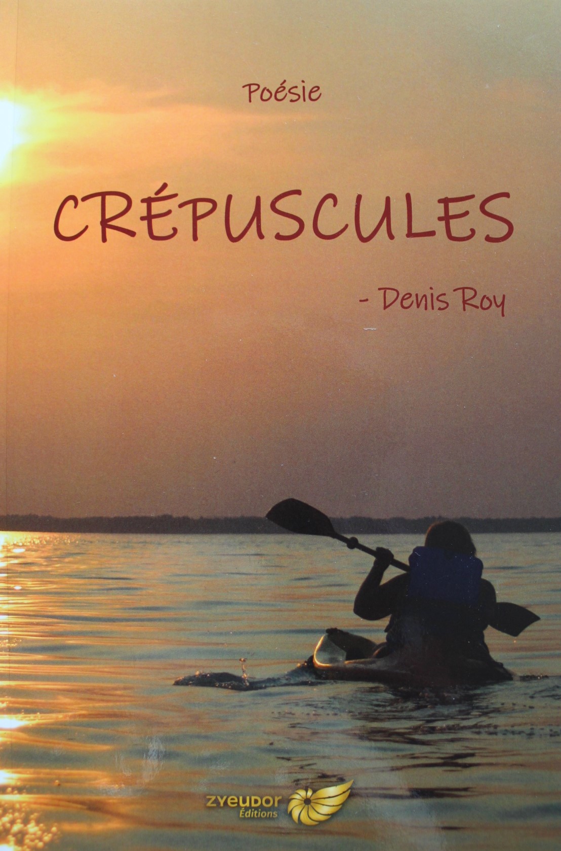 Achat en ligne livre Denis Roy